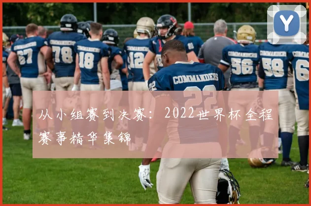 从小组赛到决赛：2022世界杯全程赛事精华集锦