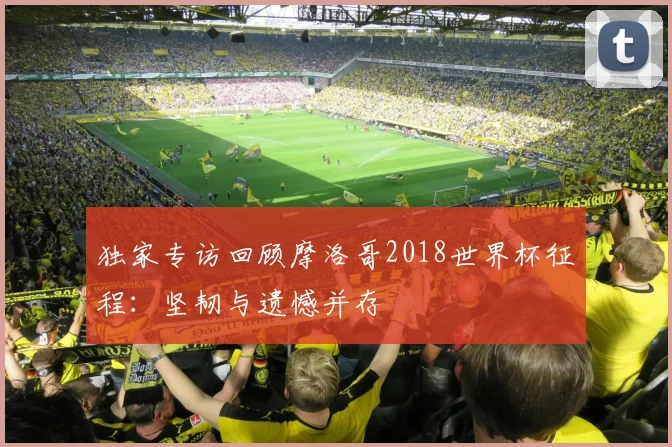 独家专访回顾摩洛哥2018世界杯征程：坚韧与遗憾并存