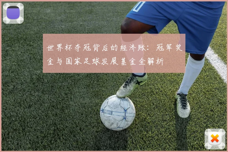 世界杯夺冠背后的经济账：冠军奖金与国家足球发展基金全解析