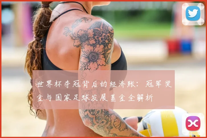 世界杯夺冠背后的经济账：冠军奖金与国家足球发展基金全解析