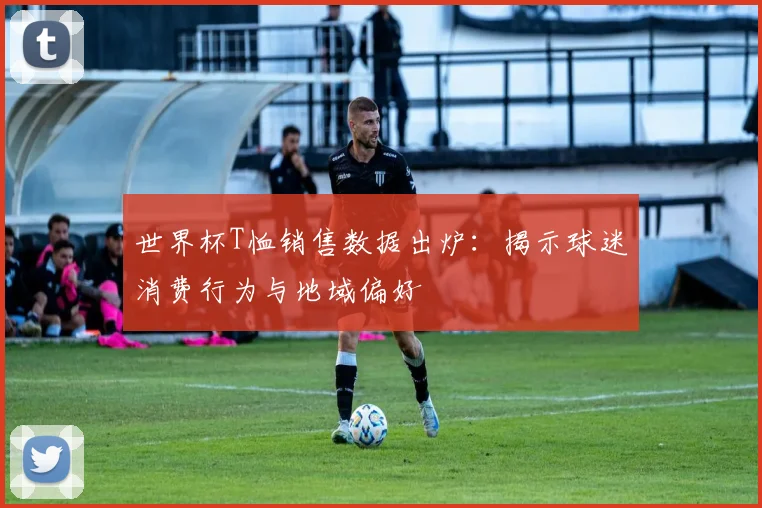 世界杯T恤销售数据出炉：揭示球迷消费行为与地域偏好