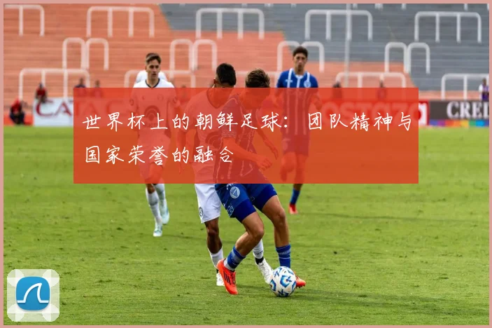 世界杯上的朝鲜足球：团队精神与国家荣誉的融合